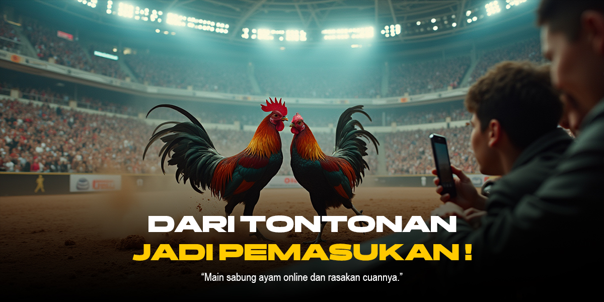 Membedah Sabung Ayam: Tradisi, Kontroversi, dan Realita di Balik Laga Ayam