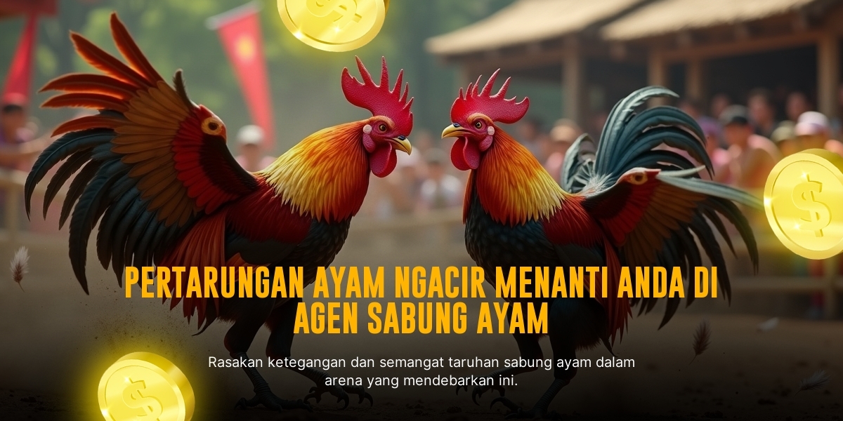 Raih Kemenangan Besar dengan Live Casino Evolution Gaming